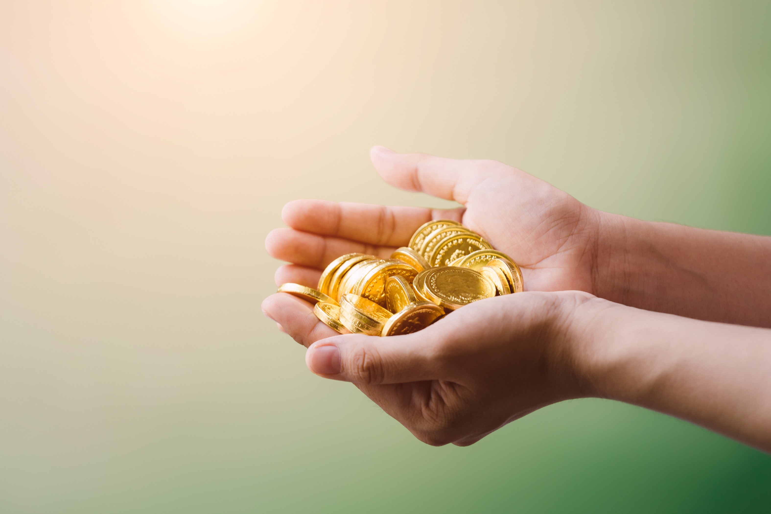 Default Scheme Image